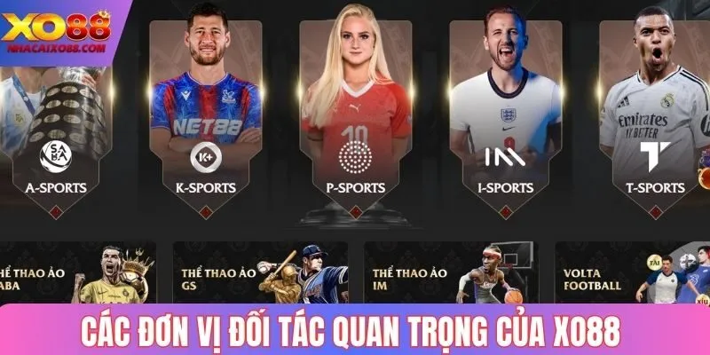 Các đơn vị đối tác quan trọng của Xo88