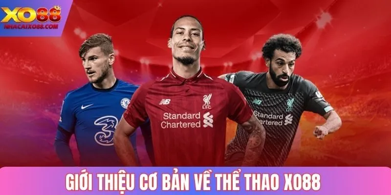 Giới thiệu cơ bản về thể thao Xo88